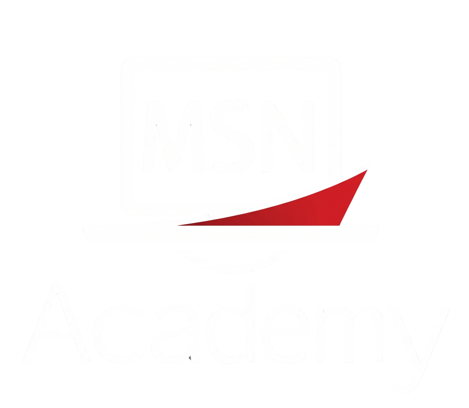 MSN Academy Logo